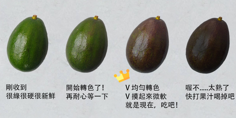 好物市集 左岸幸福莊園 有機轉型期酪梨 5斤 好物市集 左岸幸福莊園 有機轉型期酪梨 5斤