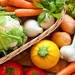東風經典食材-有機季節蔬菜