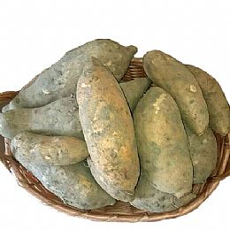 子宏農產行-水林台農57號黃金薯地瓜／10斤