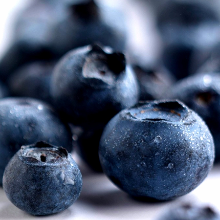 馥果FruitGO-南美洲新鮮藍莓
