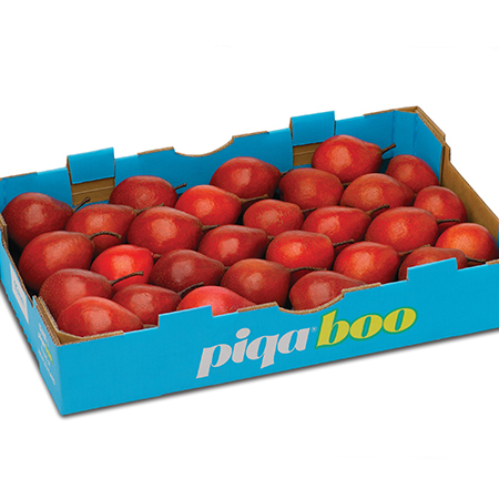 馥果FruitGO-紐西蘭空運 Piqaboo 貴妃梨↘9折