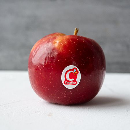 【預購】馥果FruitGo-法國甜心 新富士Candine蘋果